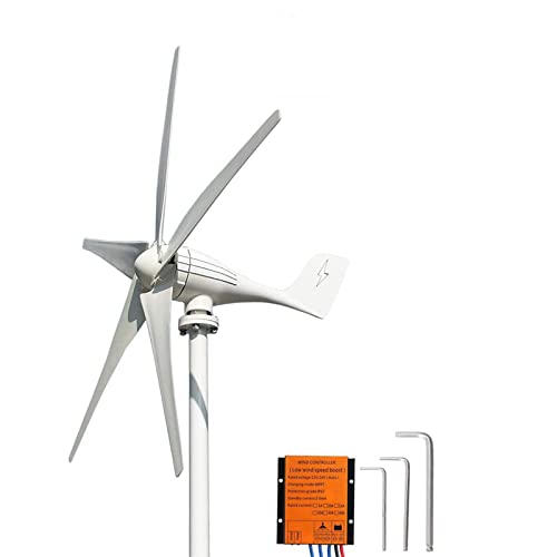 FLTXNY POWER Aerogenerador 600W 12V turbina eolica 5 Palas aerogenerador eolico domesticos generador molino eolico controlador de carga